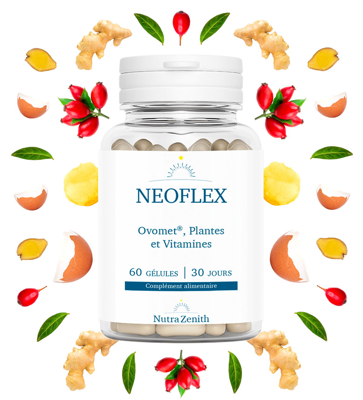 Neoflex